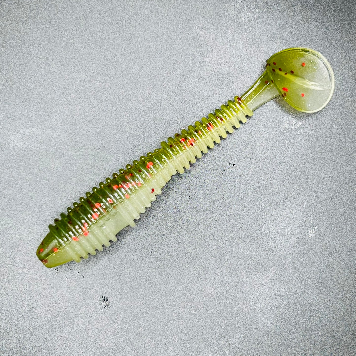 Fat Ribbed Shad